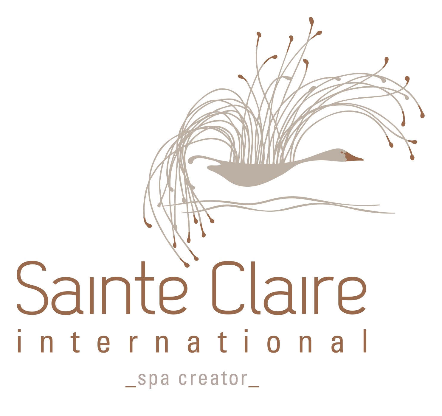 Sainte Claire International